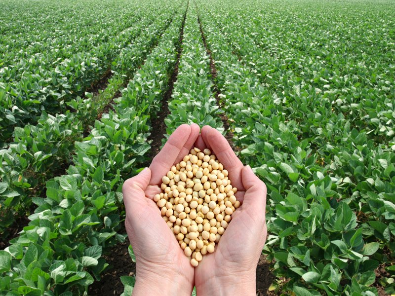 Blockchain-Will-Transform-the-Agriculture-Industry